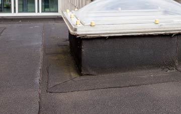disadvantages of Teasley Mead flat roofs